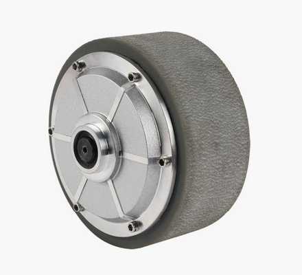 Ruota a 8 pollici del motore del hub di CC 40NM, servomotore del hub del Agv di 300kg Mecanum per il Amr del robot mobile